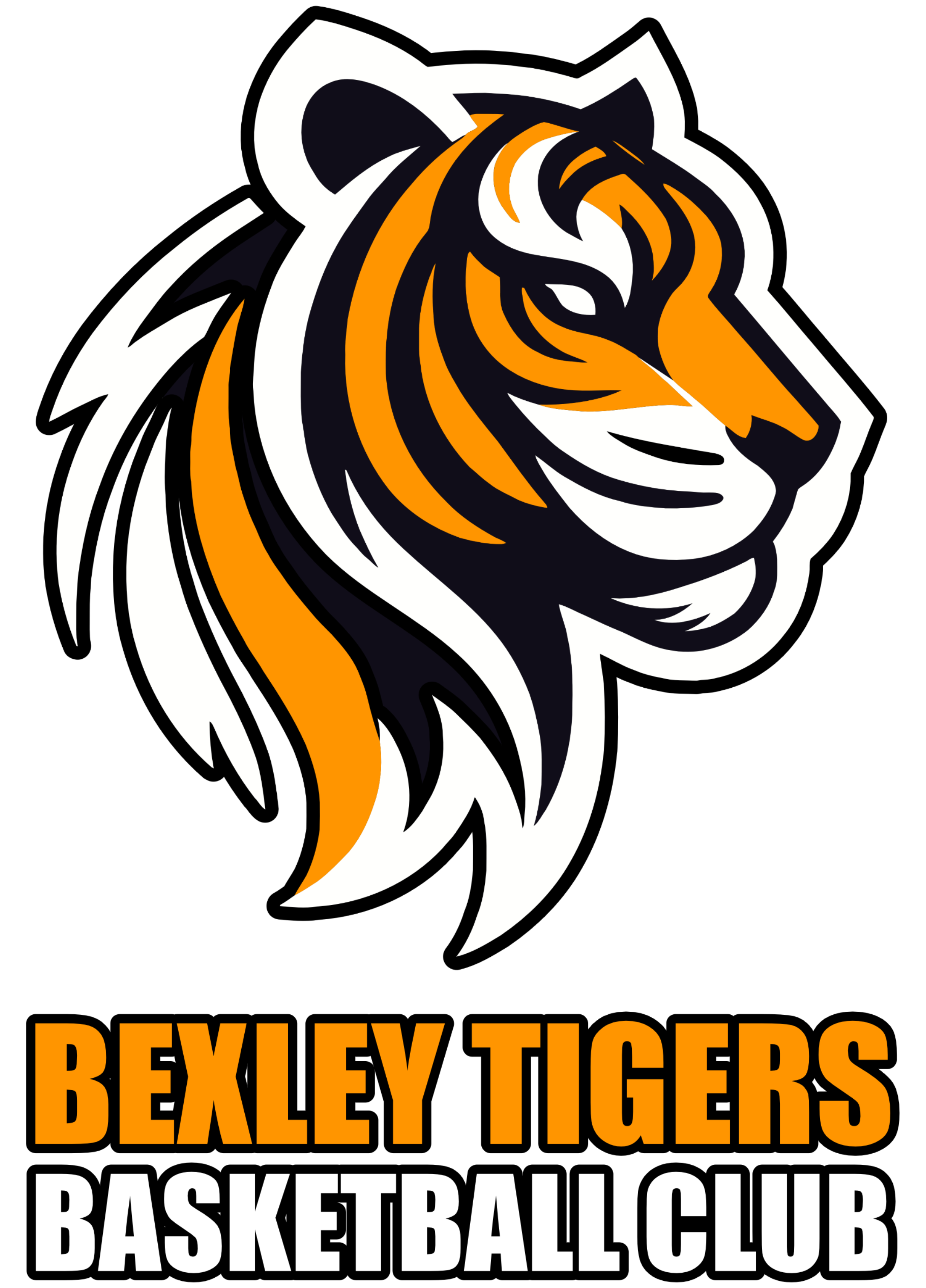 Tigers Basketball club logo